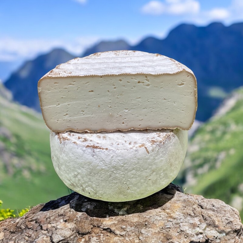 tomme de chèvre